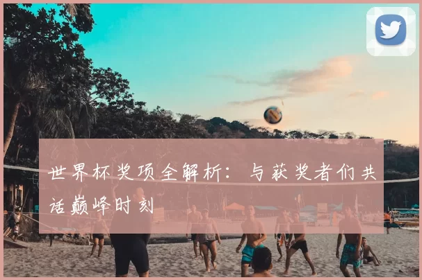 世界杯奖项全解析:与获奖者们共话巅峰时刻