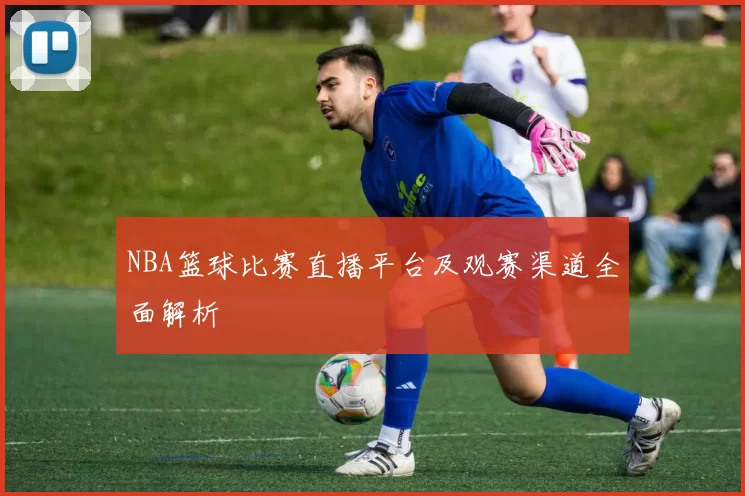 NBA篮球比赛直播平台及观赛渠道全面解析