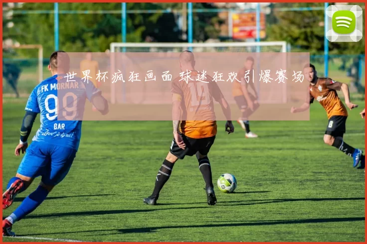 世界杯疯狂画面 球迷狂欢引爆赛场