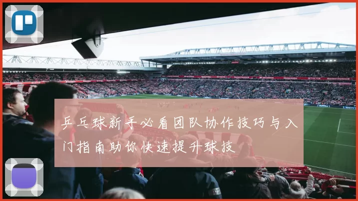 乒乓球新手必看团队协作技巧与入门指南助你快速提升球技