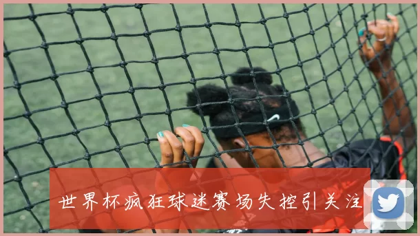 世界杯疯狂球迷赛场失控引关注
