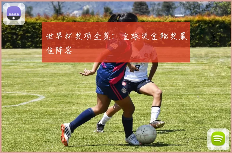 世界杯奖项全览:金球奖金靴奖最佳阵容