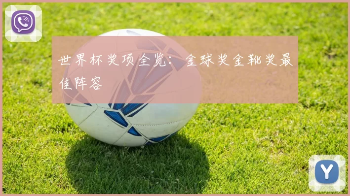 世界杯奖项全览：金球奖金靴奖最佳阵容