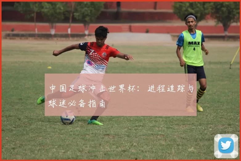 中国足球冲击世界杯：进程追踪与球迷必备指南