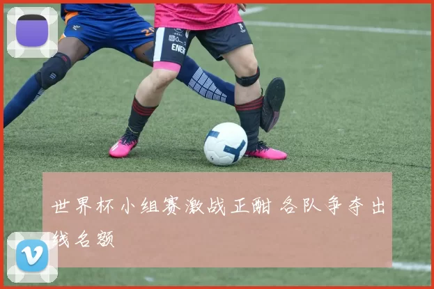 世界杯小组赛激战正酣 各队争夺出线名额