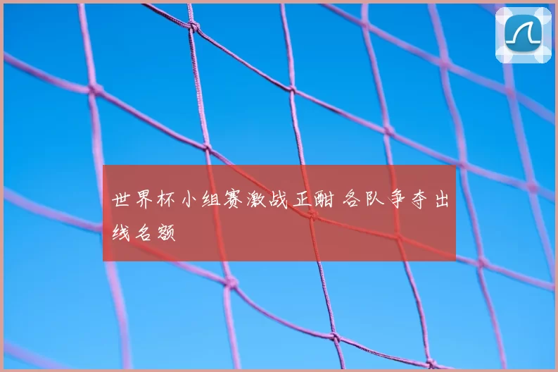 世界杯小组赛激战正酣 各队争夺出线名额