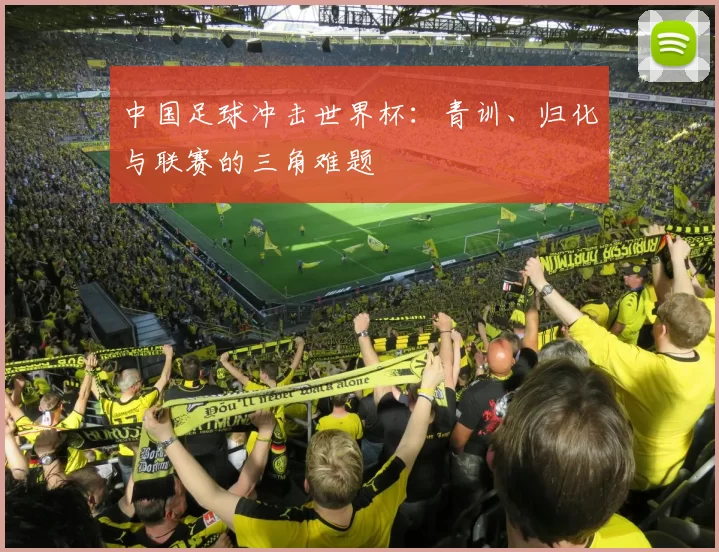 中国足球冲击世界杯：青训、归化与联赛的三角难题