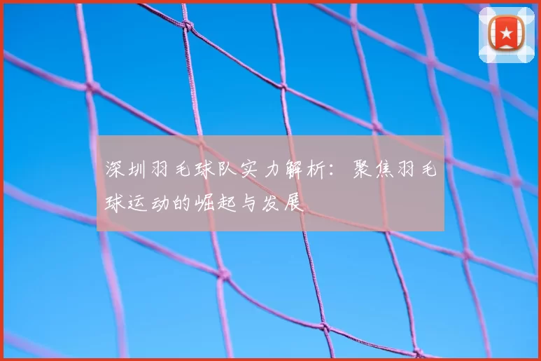 深圳羽毛球队实力解析：聚焦羽毛球运动的崛起与发展