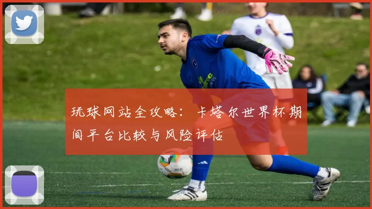 玩球网站全攻略：卡塔尔世界杯期间平台比较与风险评估
