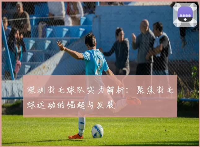 深圳羽毛球队实力解析：聚焦羽毛球运动的崛起与发展