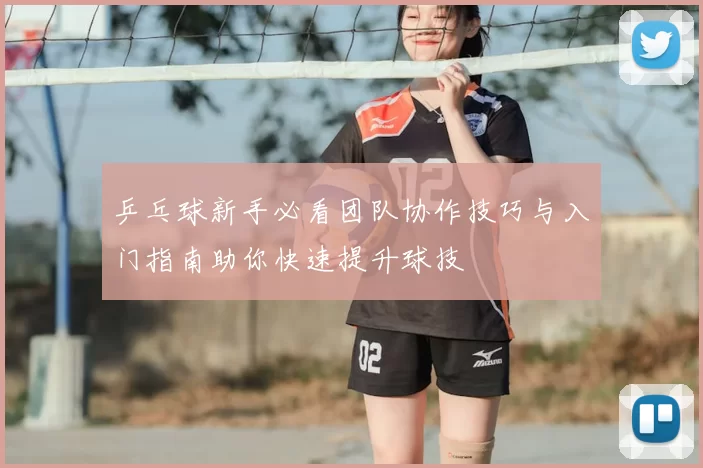 乒乓球新手必看团队协作技巧与入门指南助你快速提升球技