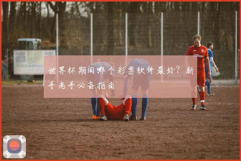 世界杯期间哪个彩票软件最好?新手老手必备指南