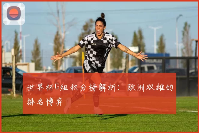 世界杯G组积分榜解析：欧洲双雄的排名博弈