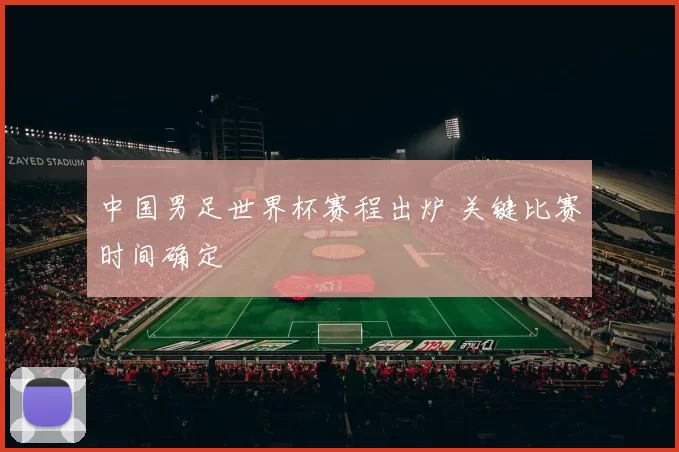 中国男足世界杯赛程出炉 关键比赛时间确定