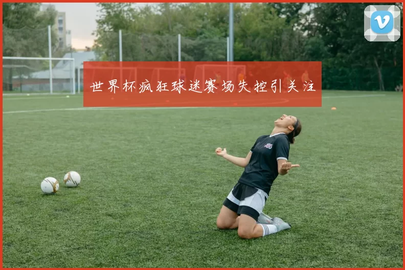 世界杯疯狂球迷赛场失控引关注