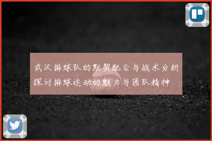 武汉排球队的默契配合与战术分析探讨排球运动的魅力与团队精神