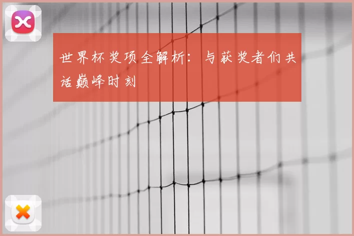 世界杯奖项全解析：与获奖者们共话巅峰时刻